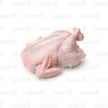 Large Fowl (Hard) | 1 lb